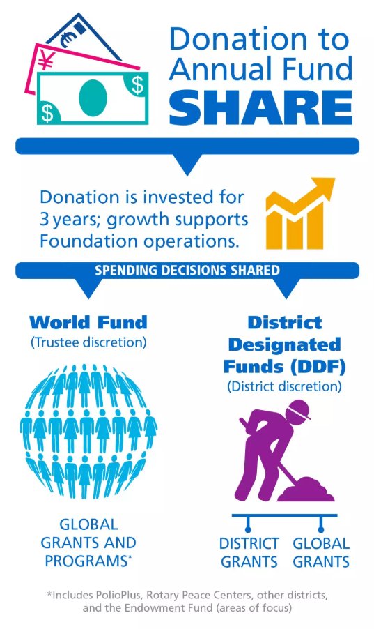 The Annual Fund